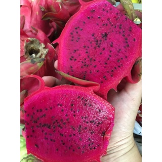 Thanh long tím đỏ Mộc Châu(1kg)