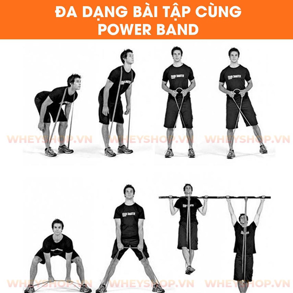 [Giá Rẻ] Dây Kháng Lực Tập Gym Power Band Monster 15 - 125lbs