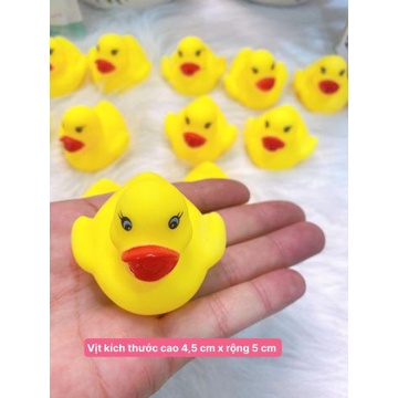 Set 12 vịt thả bồn tắm