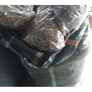 Cây bồ công anh (1 kg )