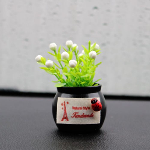 Chậu cây mini trang trí taplo ô tô, xe hơi, bàn làm việc