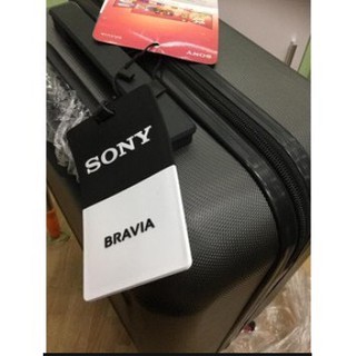 Vali du lich 20 inch skylink giá rẻ (hàng khuyến mại sony)