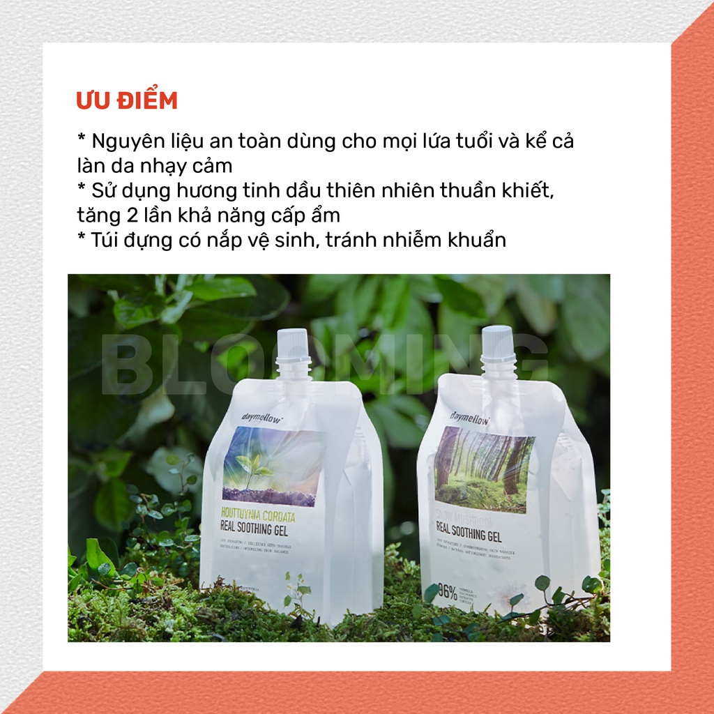 [01.2025] Gel Dưỡng Daymellow Snow Mushroom Real Soothing Chiết Xuất Nấm Tuyết 300g