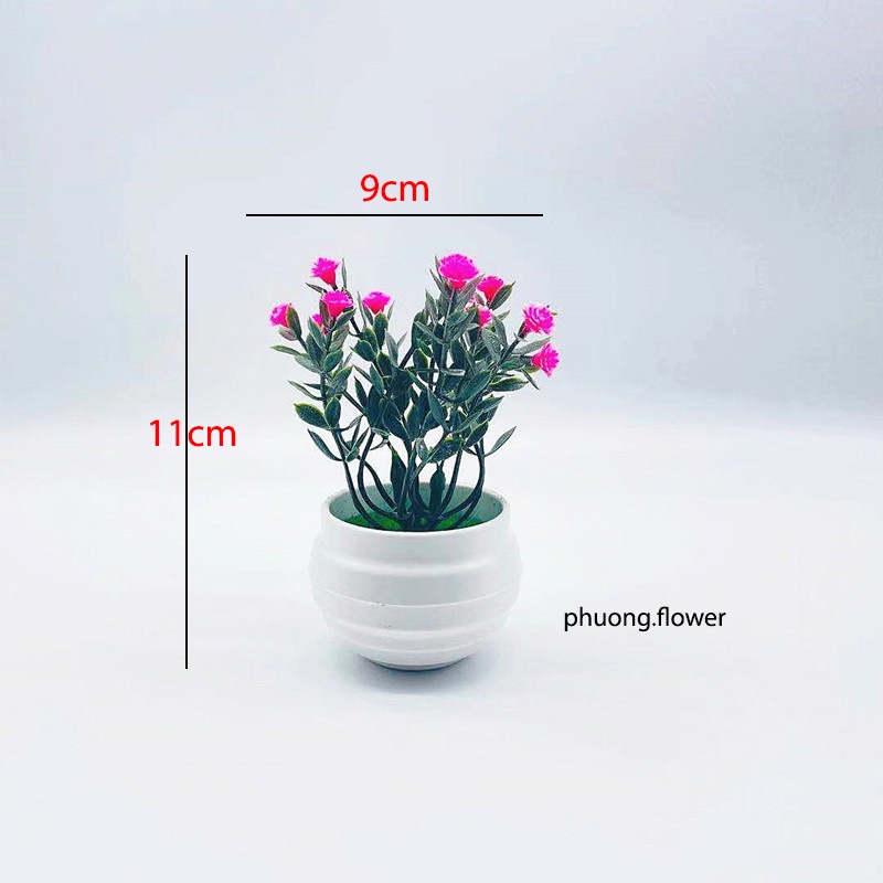Chậu cây lô hội giả cây lưỡi hồ nhân tạo mini bằng nhựa để bàn trang trí nhà ở decor văn phòng nhà tắm siêu bền đẹp