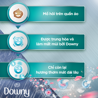 Nước Xả Downy Expert Phơi Trong Nhà 2.4l