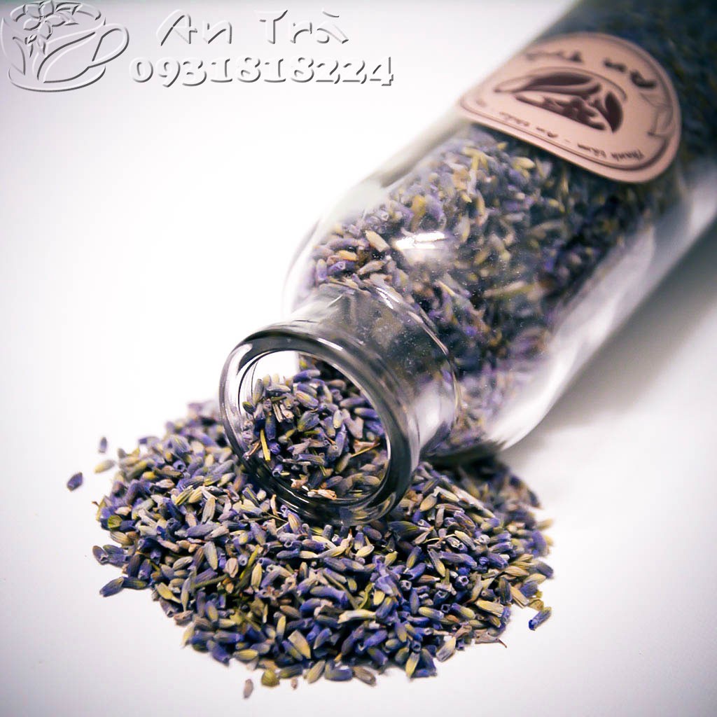 Trà nụ hoa oải hương (lavender) Pháp
