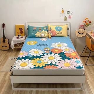 Chiếu cao su non 5D latex 1m6*2m