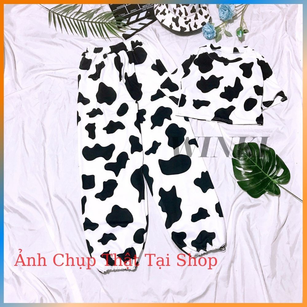 Sét bộ áo croptop quần boom thụng bo chun bò sữa, Bộ croptop bò sữa unisex