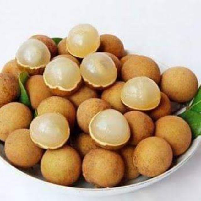 Cây giống nhãn ko hạt