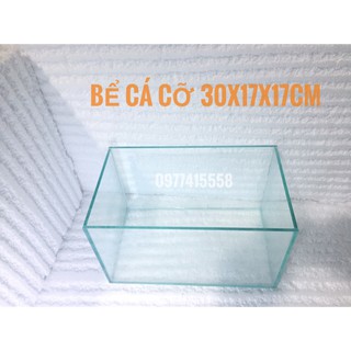 Bể ca mini để bàn - 30*17*17cm