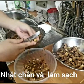 RUỐC NẤM 1KG