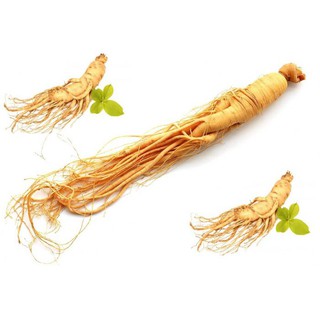 Củ Sâm Đất Khô - Loại 1 kg
