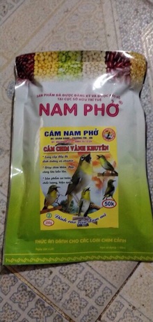 Cám Chim Vành Khuyên Nam Phở