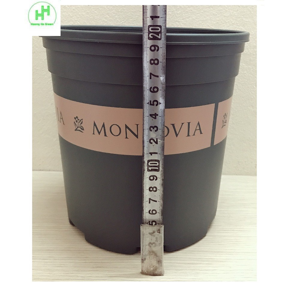 1 Bộ Chậu Nhựa Trồng Hoa Cây Cảnh  MONROVIA CN 1,5Gal