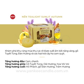Nến Tealight Yankee Candle (hộp 12 nến/1 mùi)