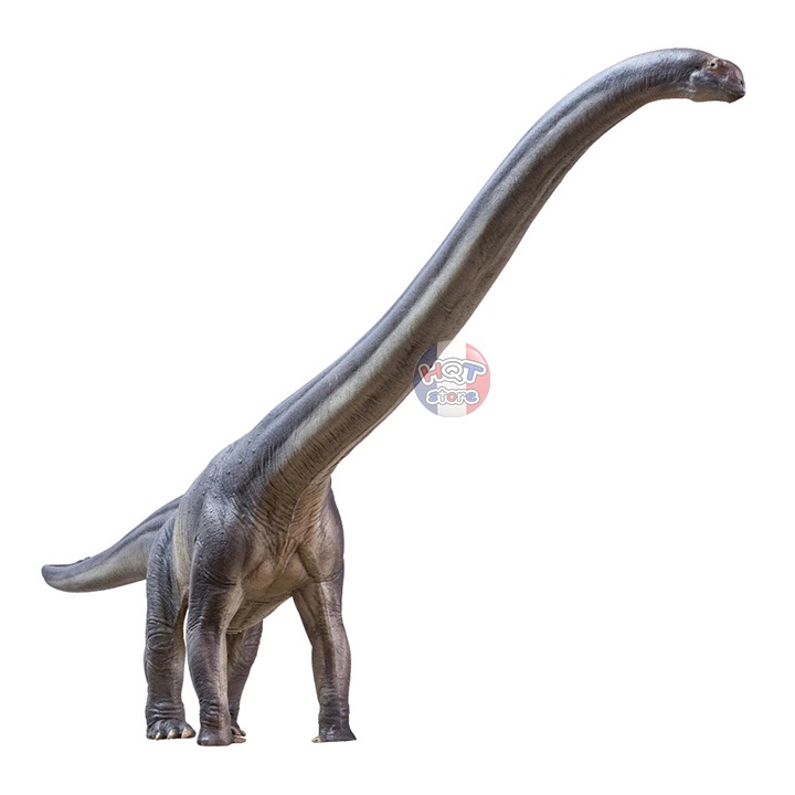 Mô hình khủng long Mamenchisaurus Er-ma PNSO 2021 tỉ lệ 1/45