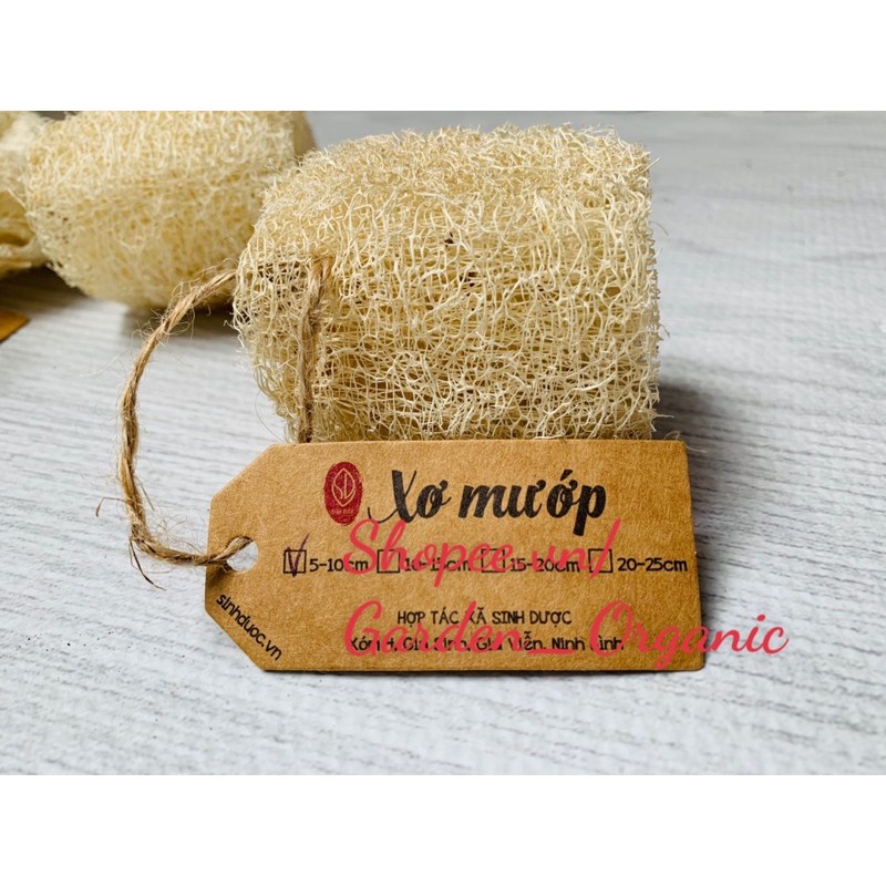 BÔNG TẮM XƠ MƯỚP ORGANIC (DÙNG TẮM TẨY TBC, MASSAGE, HOẶC RỬA CHÉN BÁT ...)