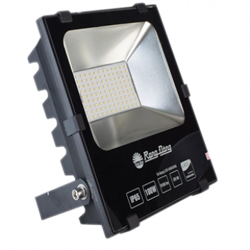Đèn LED Chiếu pha Rạng Đông DCP06L/20W
