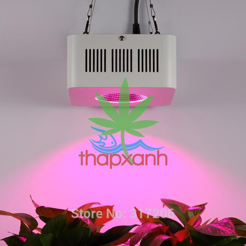 Đèn Led trồng cây trong nhà đủ phổ COB-1, Led grow light dual chip, đèn chuyên dụng trồng cây trong nhà