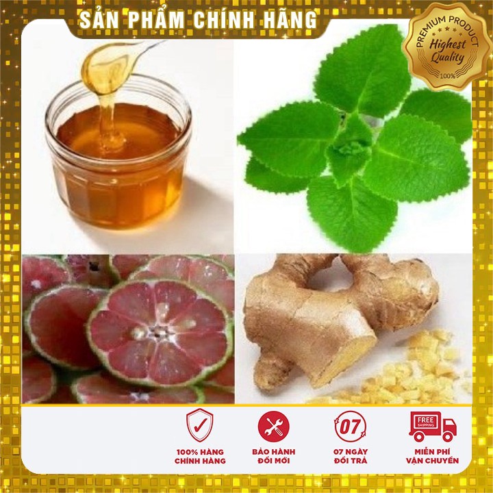 Hạt giống Rau Thơm Lùn ( Húng Chanh)