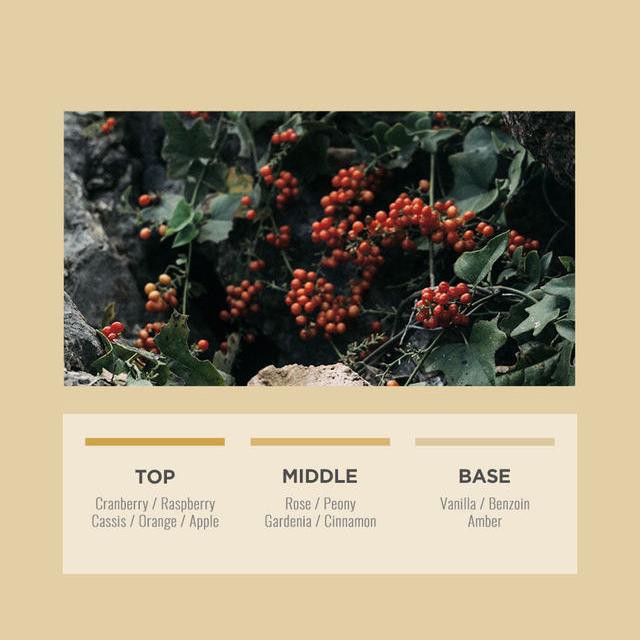 Nước hoa WDRESSROOM No.51 Juicy Grapefruit, No.53 Mediterranean Breeze, No.72 Sugar Berry (70ml) (Shop Bunny Beans) | BigBuy360 - bigbuy360.vn