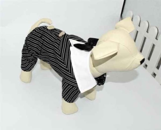 Mẫu áo vest xinh lung linh