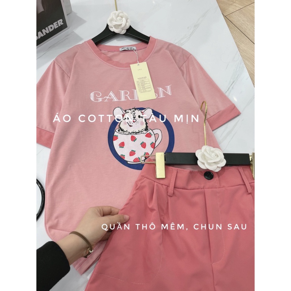 Bộ hoạt hình chuột hồng quần short ngắn đùi LT315 0322