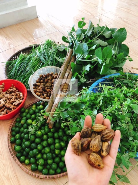 Siro Ho Thảo Mộc Dân Gian Điềm Kim | BigBuy360 - bigbuy360.vn