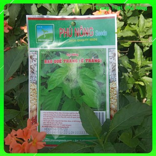Hạt Giống Rau Quế Trắng, É Trắng Phú Nông 1gram