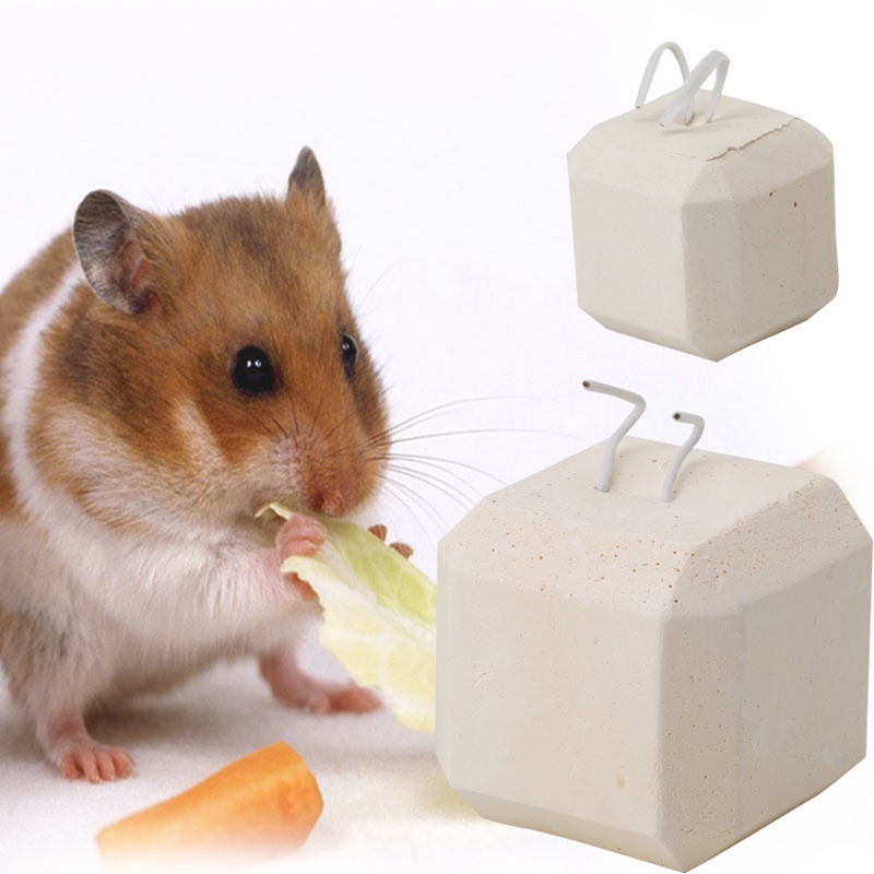 Đồ Chơi Khối Xây Dựng Cho Chuột Hamster Thỏ Chinchilla