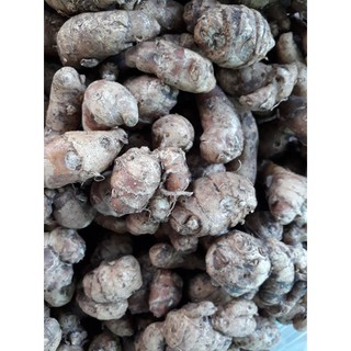 địa liền (sá kếng) 500g