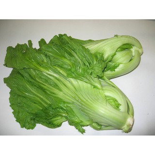 Cải Bẹ Dưa RĐ 673 - Rạng Đông