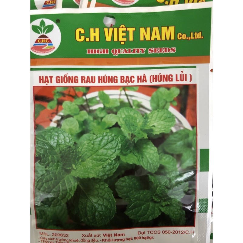 Hạt giống Húng bạc hà  ☘️