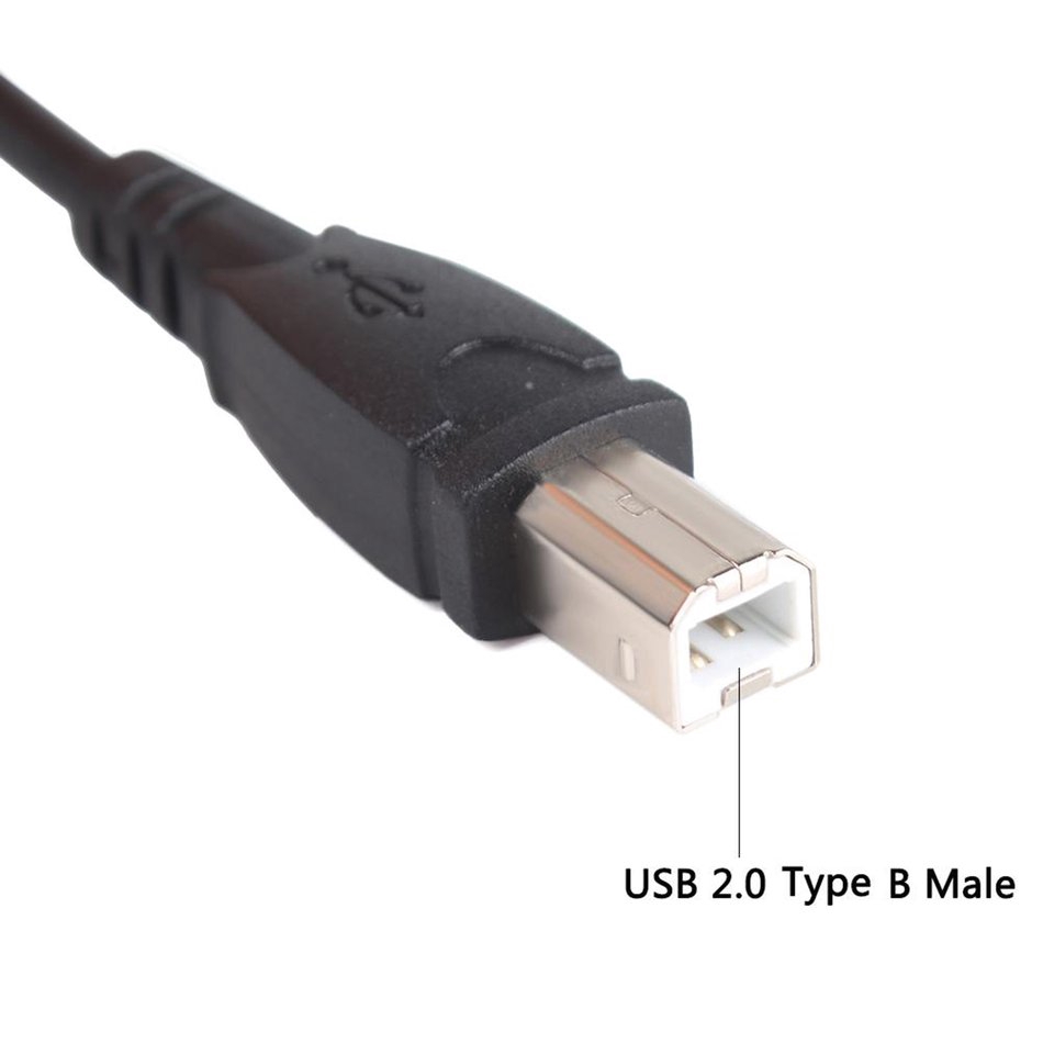 (orb) Cáp Chuyển Đổi Usb 2.0 Type A Sang Usb B Male