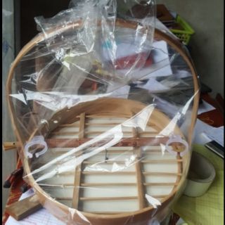 Lồng cu trần