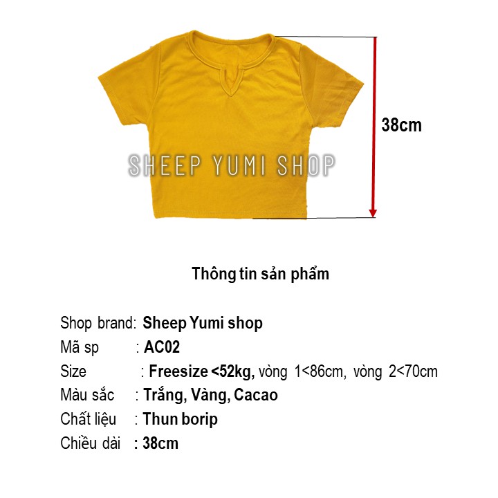 Áo Thun Croptop Cổ Tròn Khoét Chữ V Dáng Ôm Vải Co Giãn SHEEP YUMI SHOP AC09