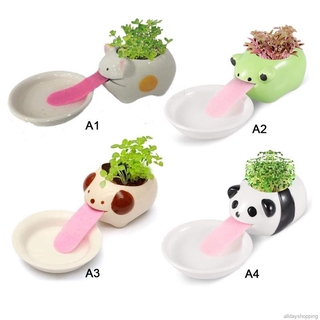 Desk Flower Pot Automatic Watering Flower Pot