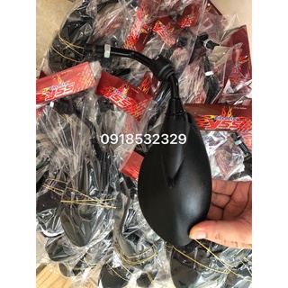 KIẾNG HẬU YAZ TRÁI