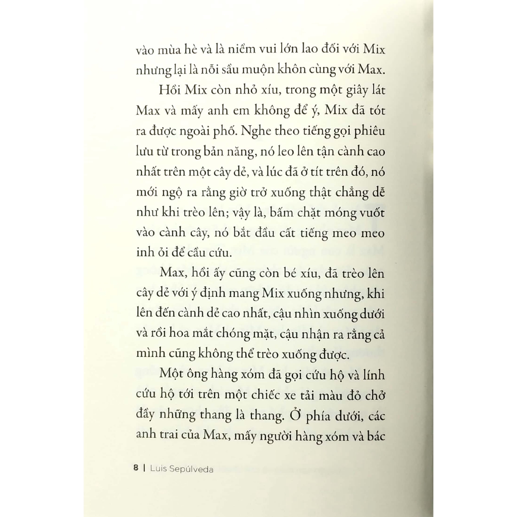 Sách - Chuyện Con Mèo Và Con Chuột Bạn Thân Của Nó (Tái Bản 2019)