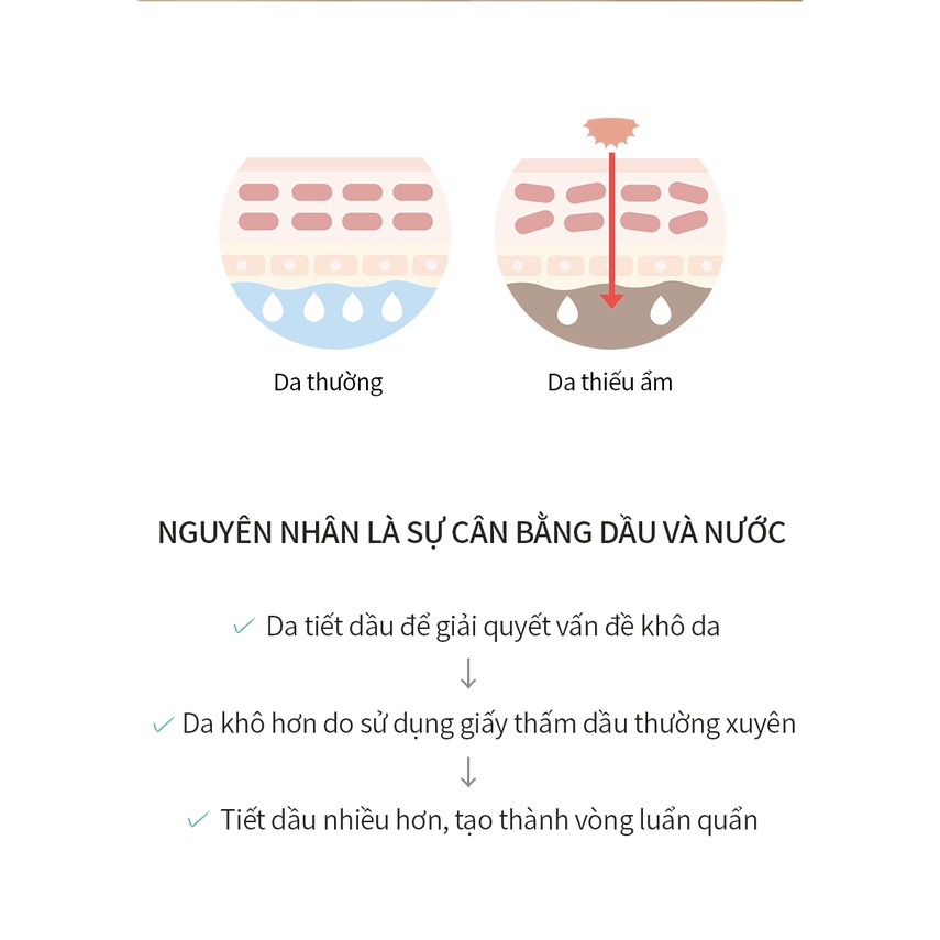 PARNELL Phấn kiềm dầu sông băng Glacial Biome 10g