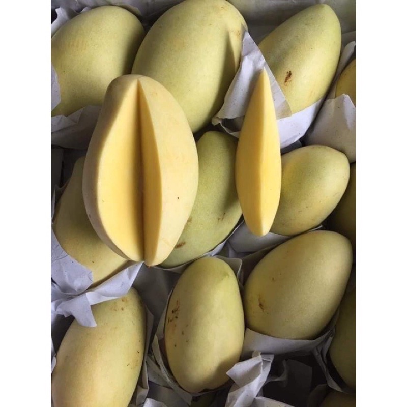 Xoài Keo Vàng - Xanh/2kg