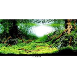Tranh 3D dán bể cá