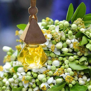 5 chai tinh dầu treo xe, treo phòng hương bưởi