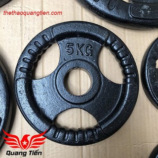 Tạ miếng gang 10kg