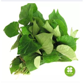 Cây diếp cá khô (Ngư tinh thảo) 1KG - LCS241