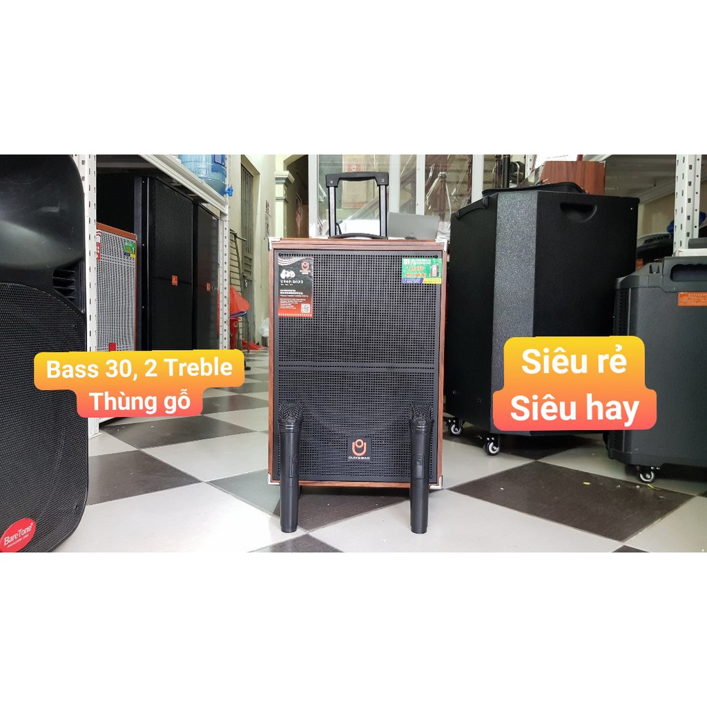 VIDEO TEST Loa kéo di động Oumeibao A12 bass 30, thùng gỗ, 2 mic