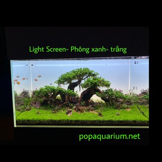 Phông nền Led light SAM Screen  dành cho bể cá cảnh