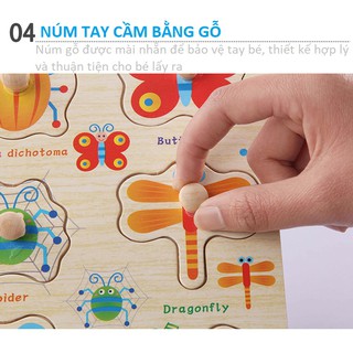 Đồ Chơi Bảng Núm Gỗ Xếp Hình Nhiều Chủ Đề Cho Bé Học,Đồ Chơi Gỗ,Đồ Chơi Ghép Hình Gỗ,Đồ Chơi Thông Minh