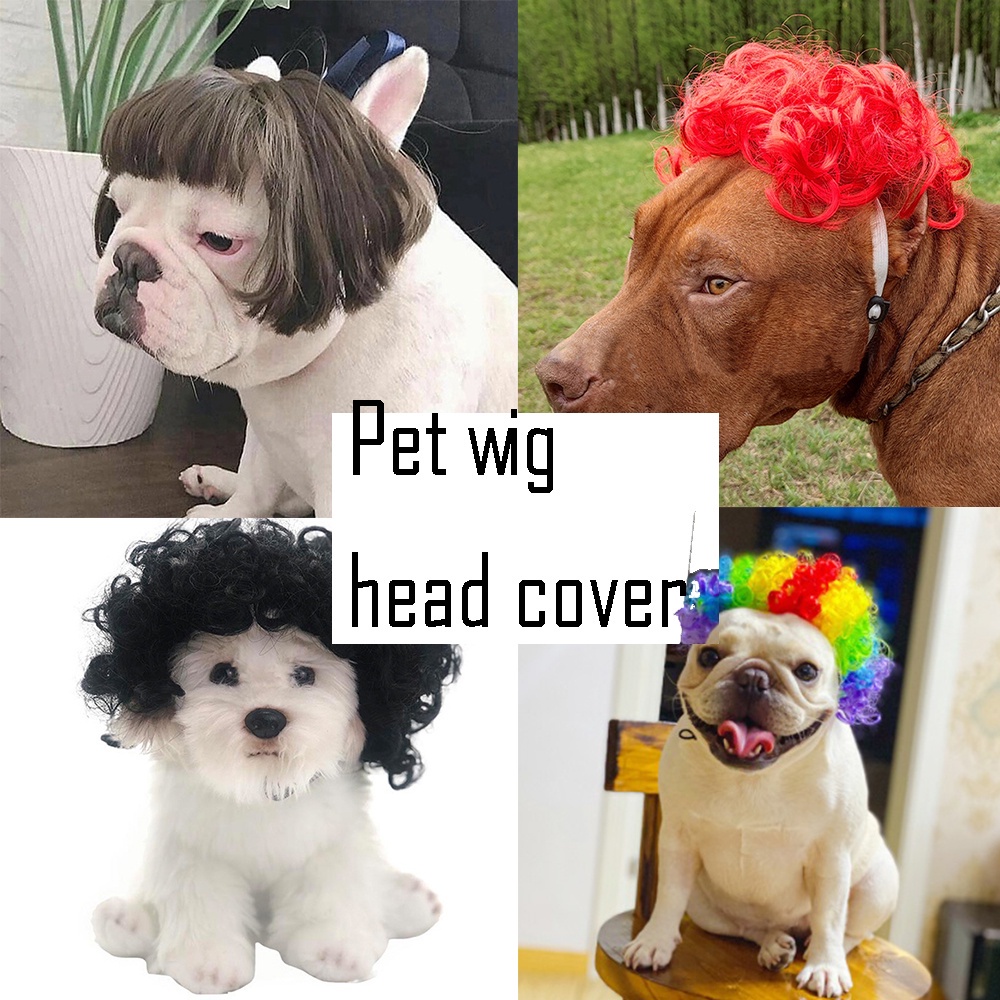Tóc giả hóa trang cho thú cưng hài hước vui nhộn
