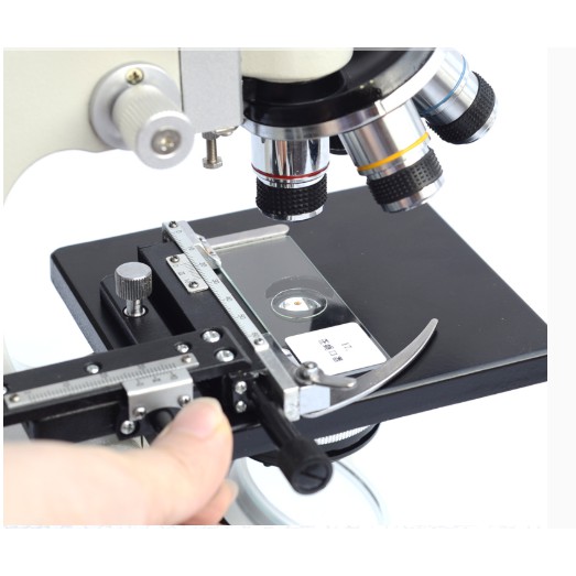 Kẹp tiêu bản dùng cho kính hiển vi sinh học